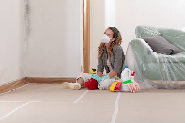 Mold Removal service in Hallieford